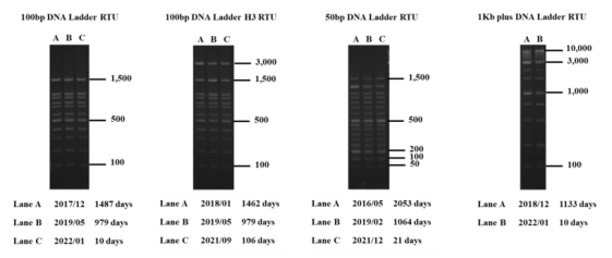 Bio-Helix丨Bio-Helix艾美捷100bp DNA ladder说明书