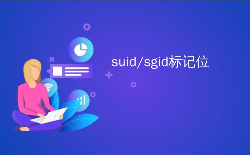 suid/sgid标记位