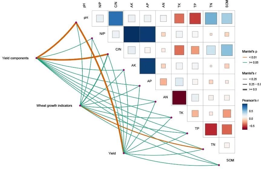 MicrobiomeStatPlot | 蒙特尔检验相关性热图教程Mantel test correlation heatmap-CSDN博客