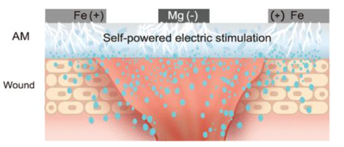 柔性自驱动生物“电子衣”促进伤口愈合
