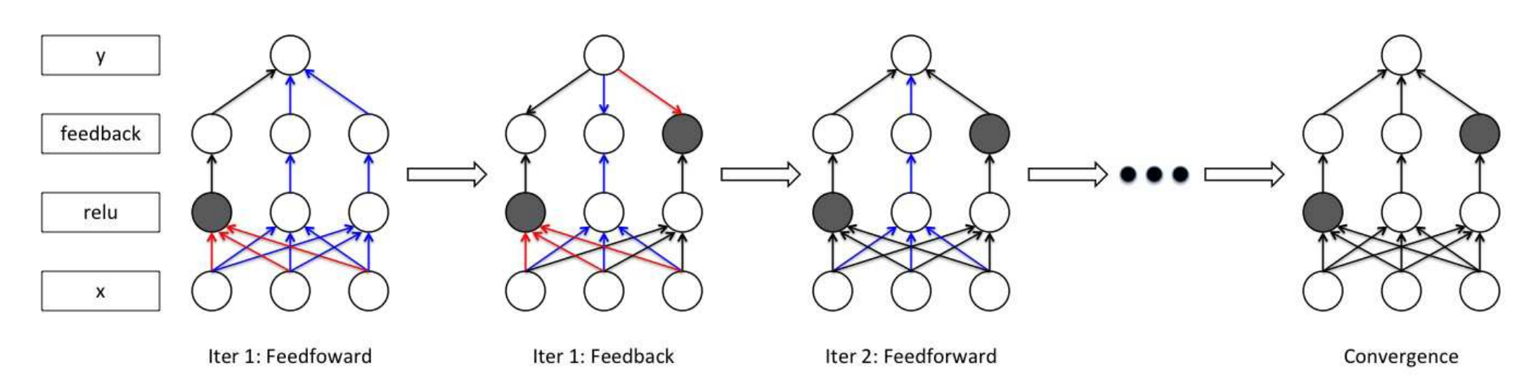 feedback layer的位置与传播过程