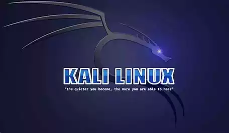 kali linux.webp