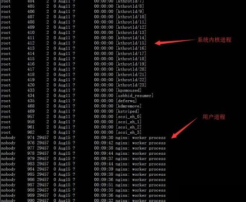 10个运维人员需要知道的”系统进程”10个运维人员需要知道的”系统进程”