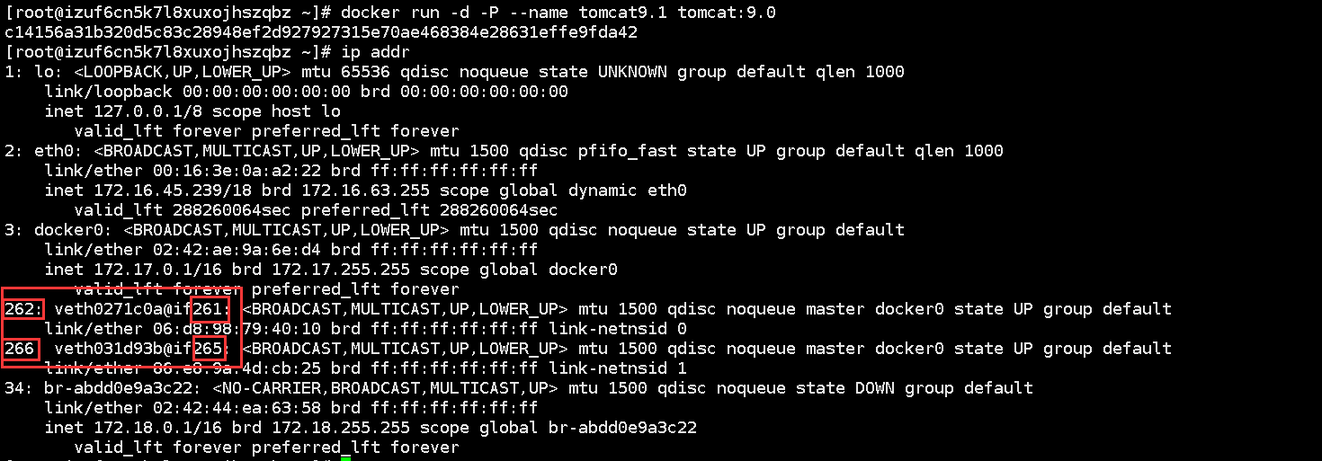 image-20201025145643437