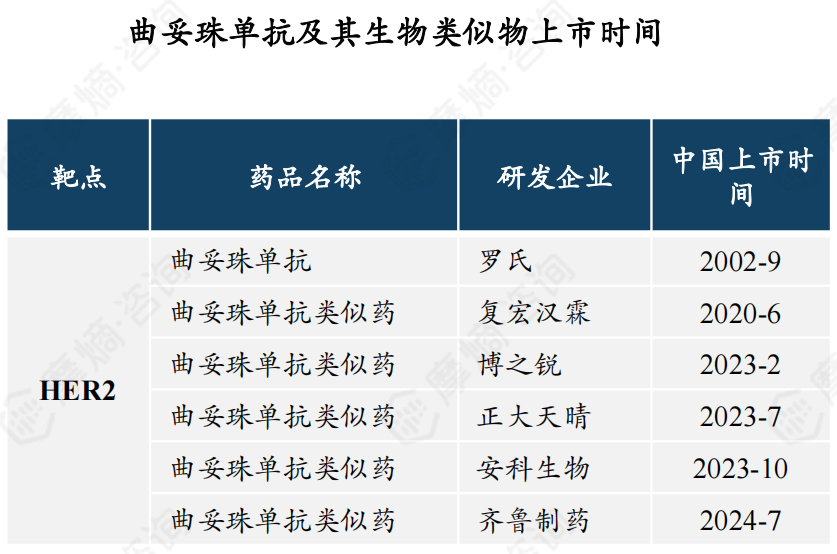 对于HER2阳性晚期胃癌，曲妥珠单抗与ADC药物