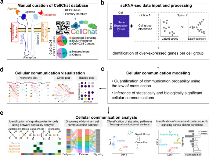 Fig.1 CellChat 概述