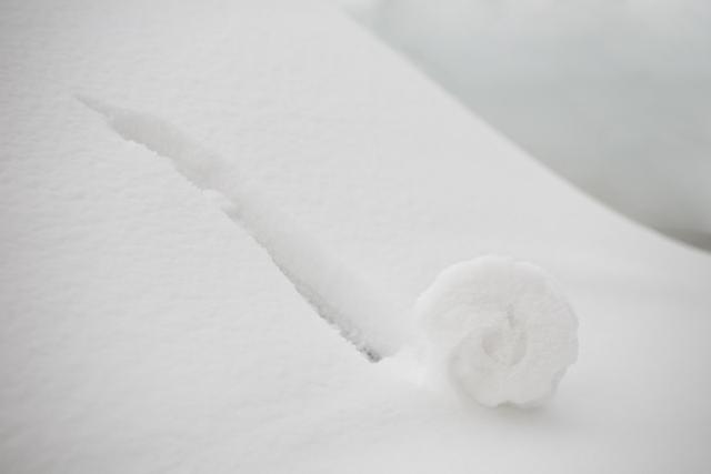 30f94d678727a48791872f1ad9b166bc.png