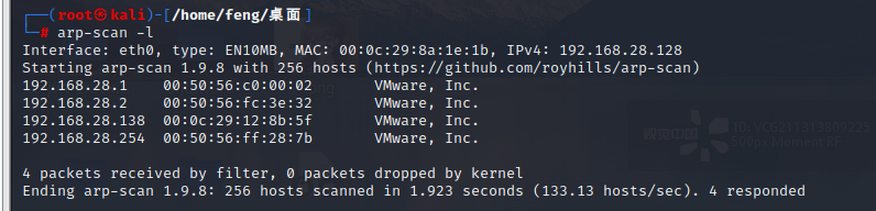 image-20230306175956038