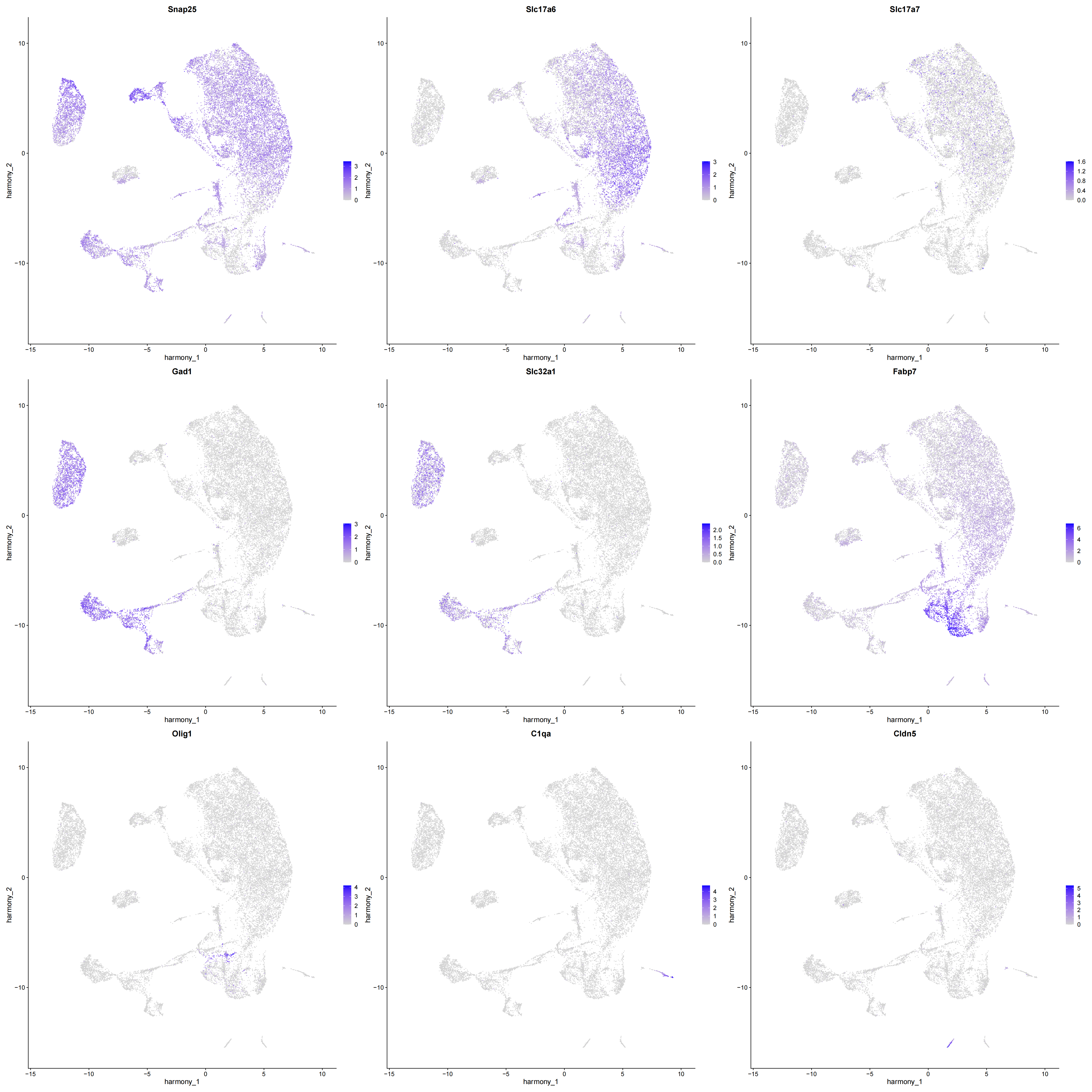 marker_featureplot