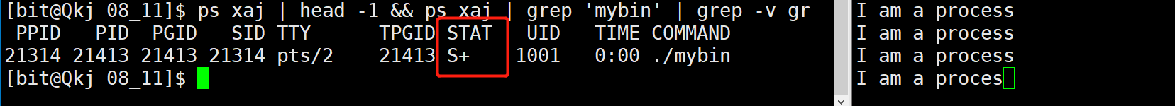 image-20220811204846283