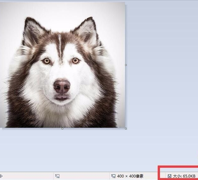 计算机一级照片错误怎么改,电脑上要怎么修改一寸照片大小