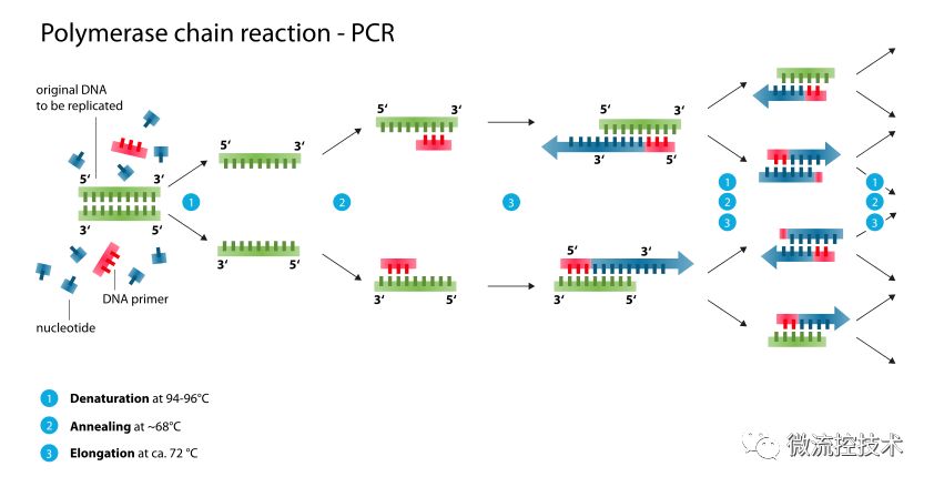 扩增图解_【图解】微流控PCR芯片-CSDN博客