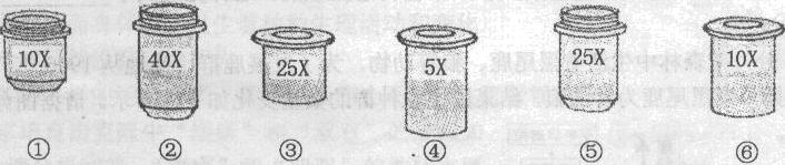 3150313ddb025fadde453c49c7a283c1.png
