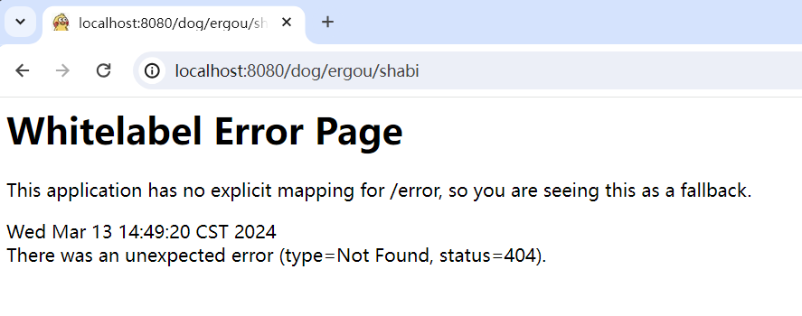 image-20240313144943322