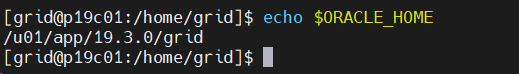 oracle 19c rac<span style='color:red;'>集</span><span style='color:red;'>群</span>管理 ------ <span style='color:red;'>日志</span>管理