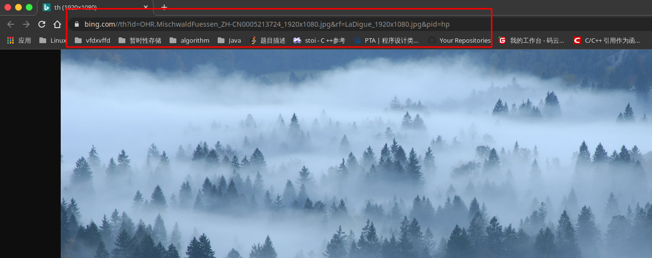 每天定时获取必应每日一图并保存做壁纸 Vfdxvffd的博客 Csdn博客 第一行代码必应每日一图