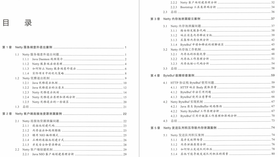 美团大牛的Netty实战笔记：20个实战案例与底层源码相结合