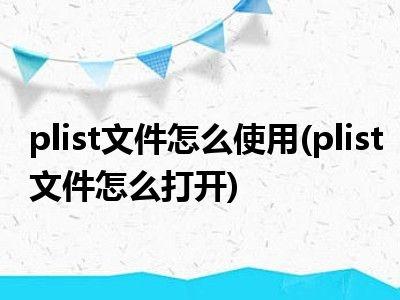 打开 plist 文件