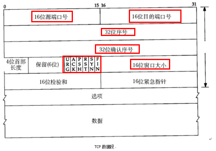 TCP数据段格式