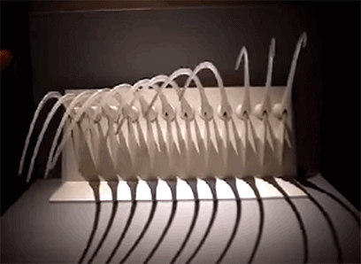 325f10d6e2db84e8b4e2c819a71ab519.gif