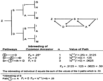 327b0af5e46fc6a04e4a24dea53b2334.png