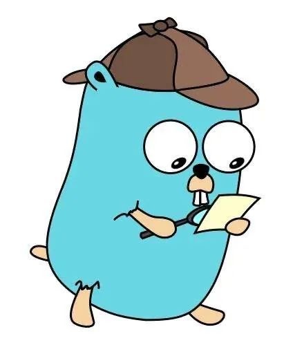 fmt打印不显示 go_跟着 go 语言上天,是一种怎样的体验?