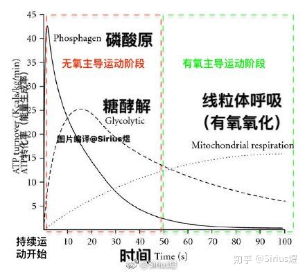 32f60cf52c4ba5dc6e9ae71886cd3996.png