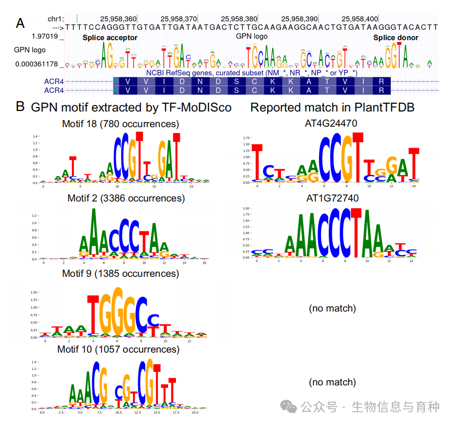 PNAS | 基因组预训练网络模型精准预测 DNA 突变_数据_04