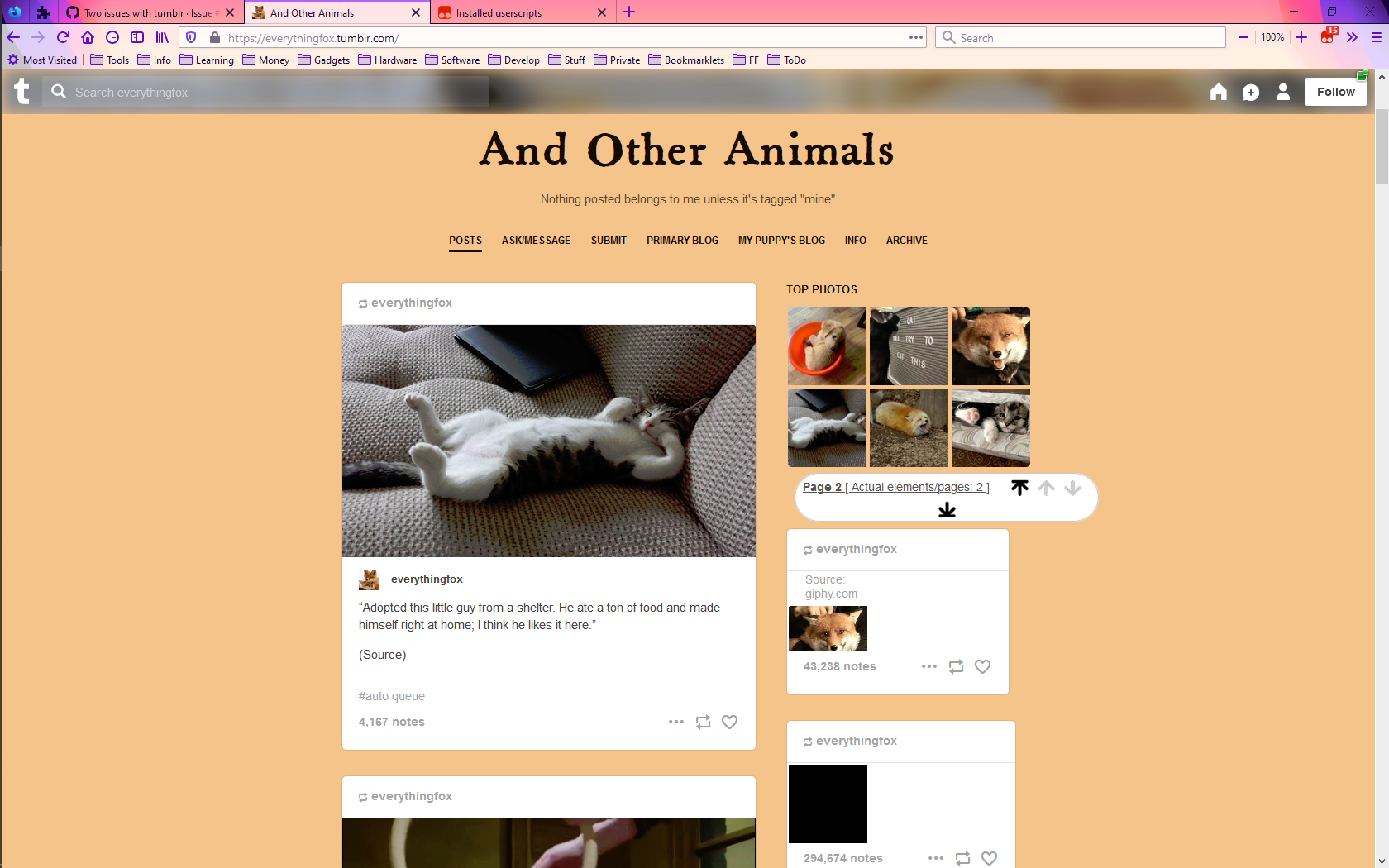 how to auto queue tumblr