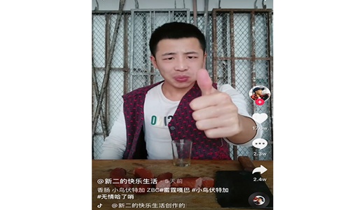 小鸟伏特加怎么用计算机小鸟伏特加什么意思网络用语小鸟伏特加什么梗