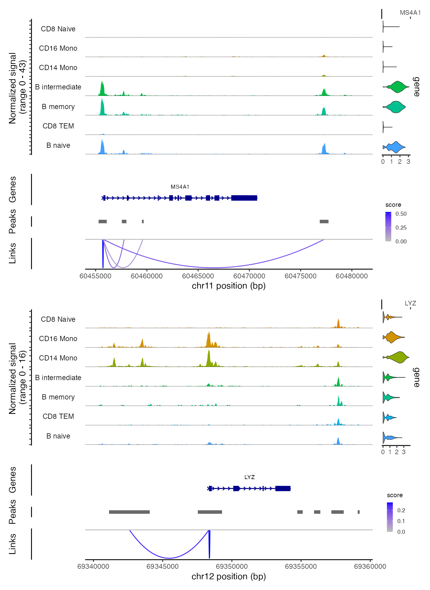 单细胞｜RNA-seq  ATAC-seq 联合分析