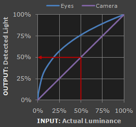 图1.相机对50%亮度的反馈为50%