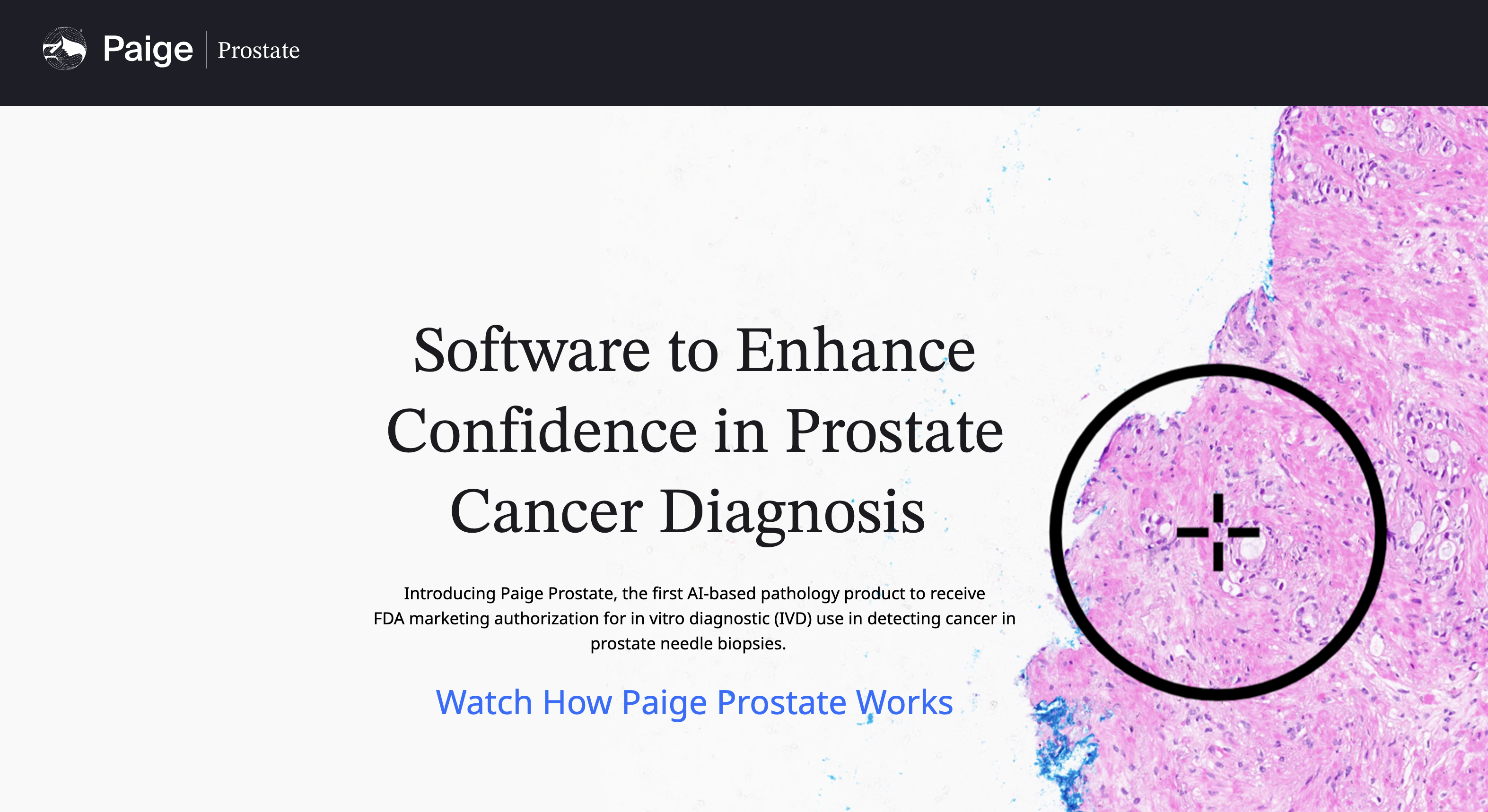 https://info.paige.ai/prostate