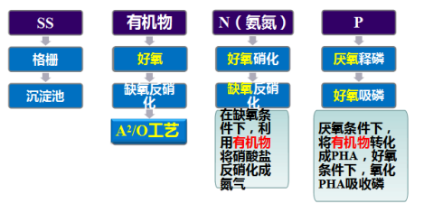 环境工程学(整理知识点)