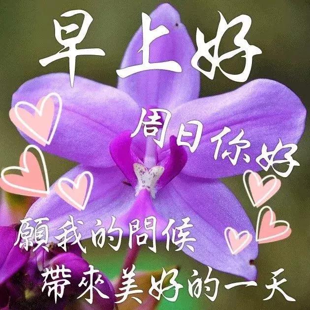 永远不要去依赖别人早晨问安不要轻易去依赖一个人