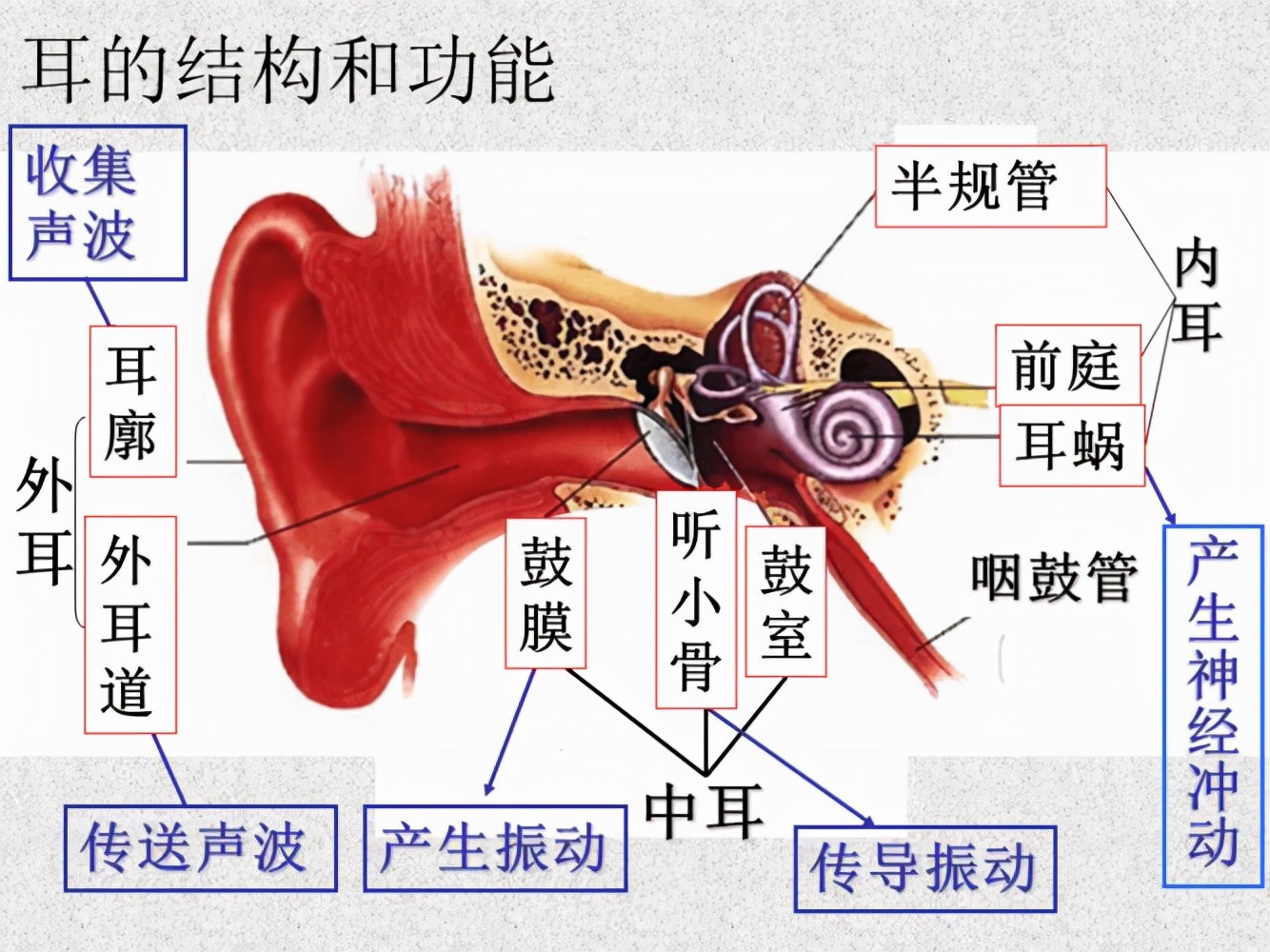 骨传导耳机怎么样？骨传导耳机是不是智商税？