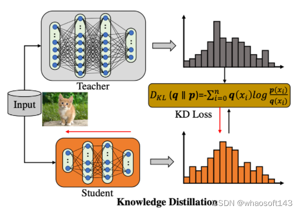 FKD~~_监督学习