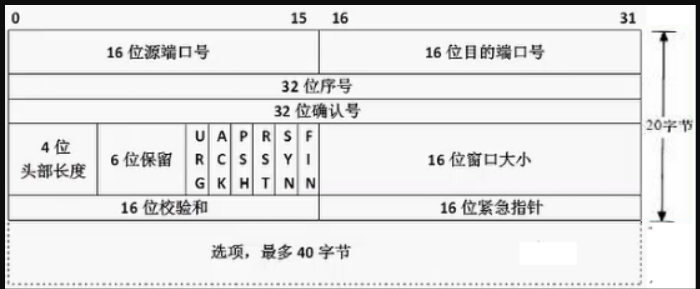 TCP头部