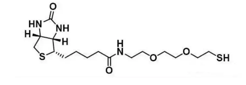 Biotin-PEG2-Thiol，生物素-PEG2-巯基，应用于抗体标记、蛋白质富集等领域