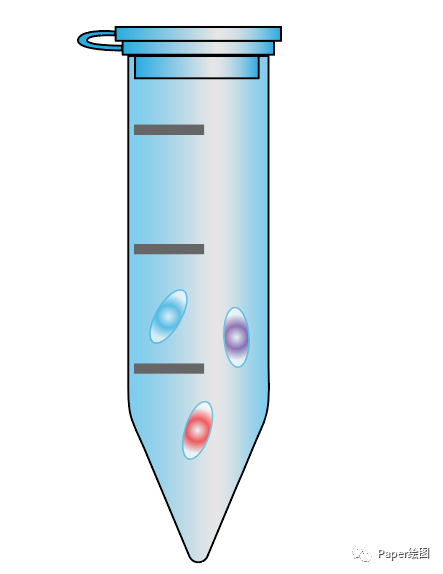 离心管示意图图片