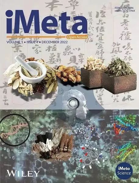 iMeta | 易扩增子(EasyAmplicon)：易用、可重复的微生物组扩增子分析流程