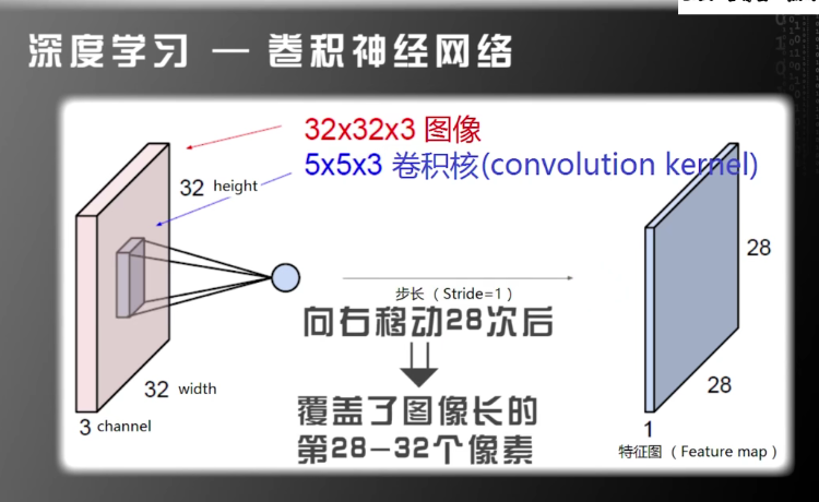 image-20211125205029388