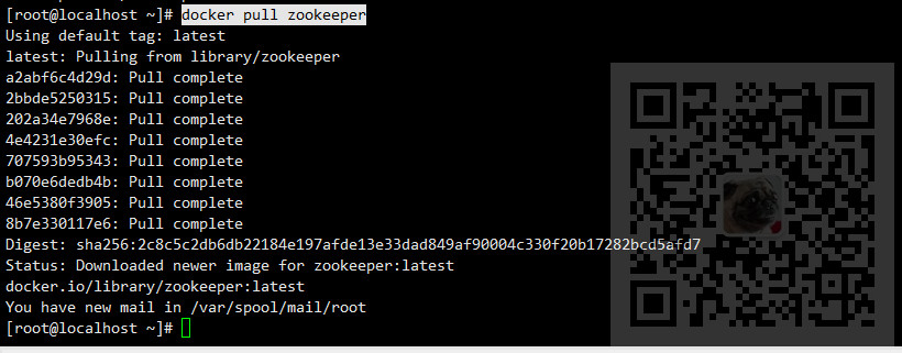 Docker中Zookeeper、Kafka的安装与发送和消费消息