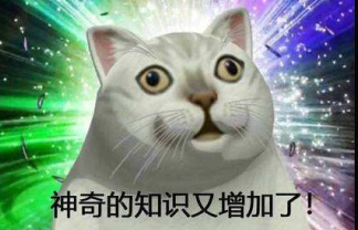 超越swagger-ui，这款API 接口文档工具运行更快，更高效