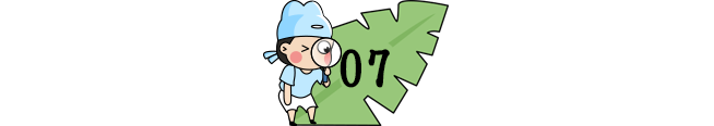 3563c7ec6f1528327f0a95d9340161e2.png