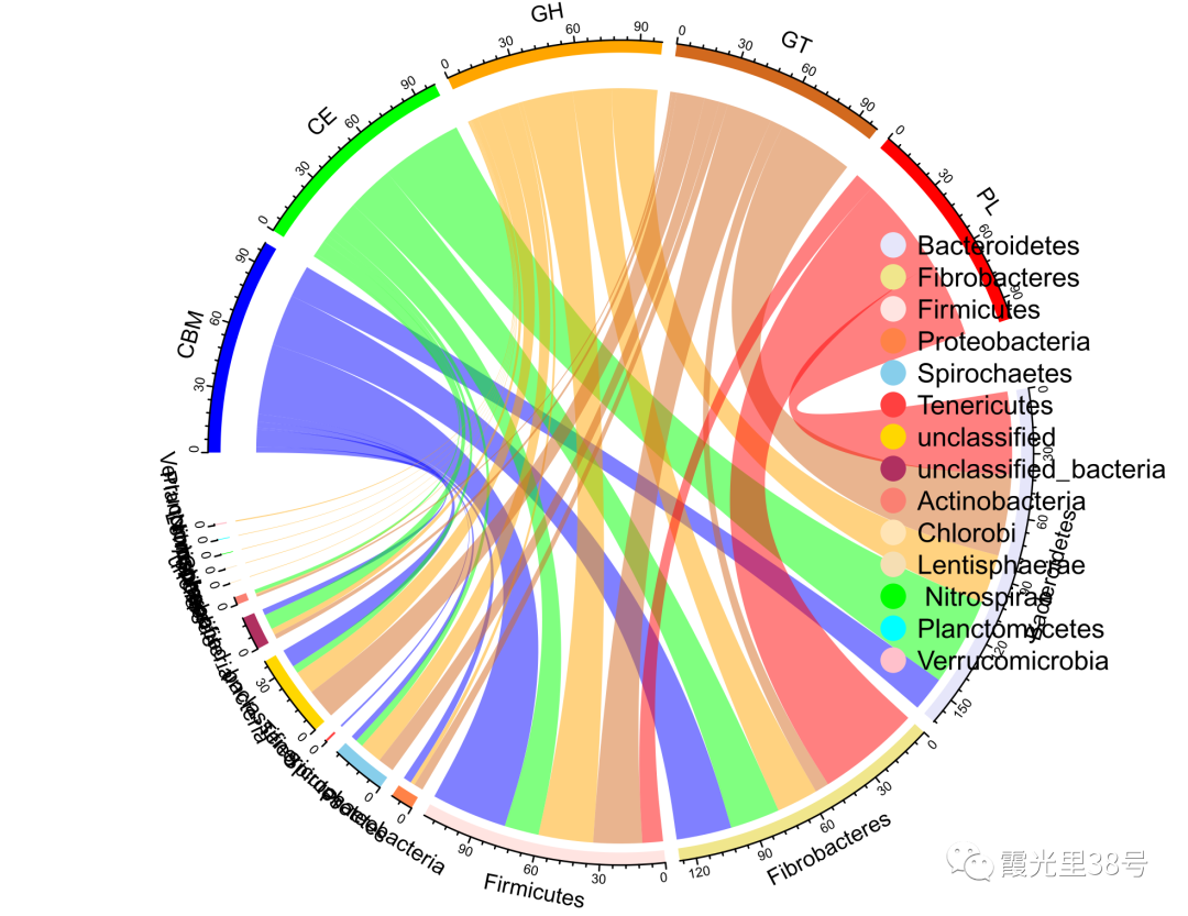 r语言remarkdown展示图_R语言绘制弦图(Chord diagram)_weixin_39609822的博客-CSDN博客