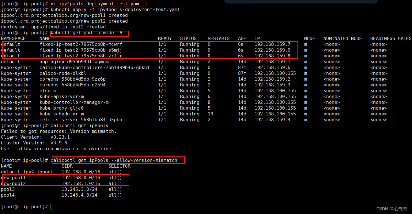 Kubernetes_容器网络_Calico_03_calicoctl工具的使用_docker_14