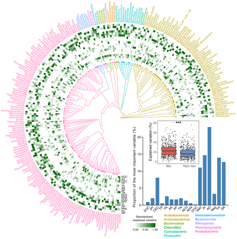 Mat团队文字组审核 Csdn