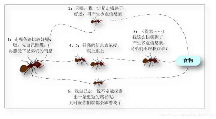 【经典算法】有趣的算法之---蚁群算法梳理