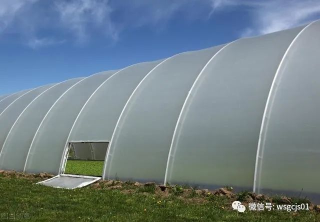 为什么薄膜干涉的厚度要很小温室大棚薄膜为什么要选用流滴膜使用流滴